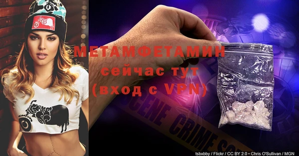 сатива Осташков