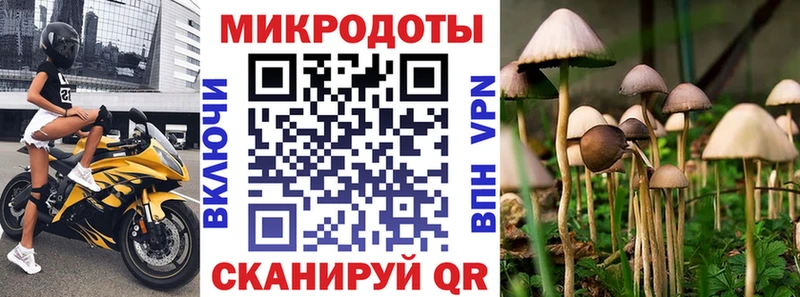 Псилоцибиновые грибы прущие грибы  Багратионовск 